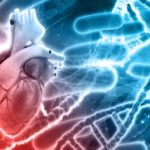 Aortic Aneurysm: Causes, Symptoms and Treatment guide